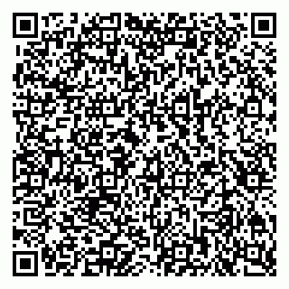 vCard 79201104100