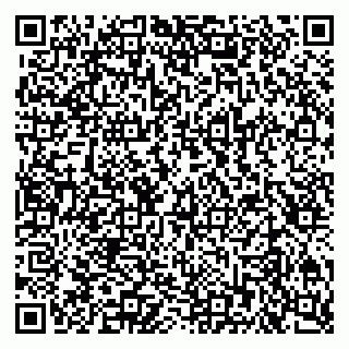 vCard 79201104131