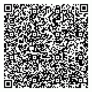 vCard 79201104133