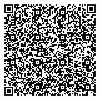 vCard 79201104159