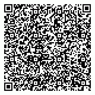 vCard 79201104171