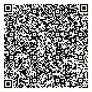 vCard 79201104178