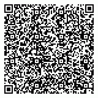 vCard 79201104241