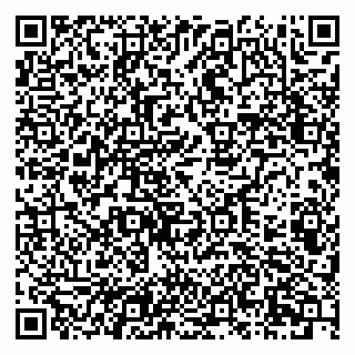 vCard 79201104271