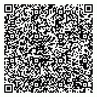 vCard 79201104272