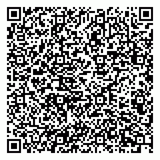 vCard 79201104285