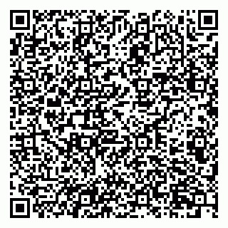 vCard 79201104313