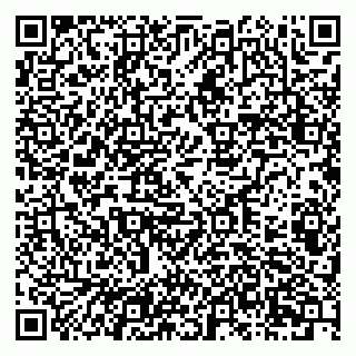 vCard 79201104381