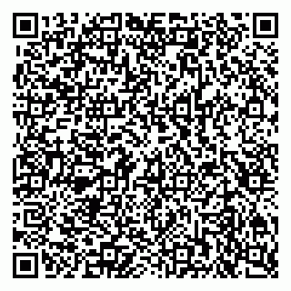 vCard 79201104529