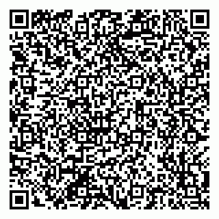 vCard 79201104729