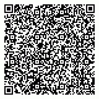 vCard 79201104733