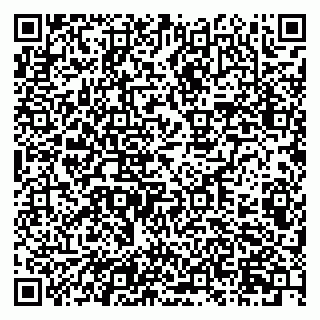vCard 79201104933