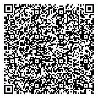 vCard 79201105011