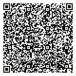 vCard 79201105029
