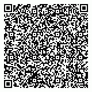 vCard 79201105032