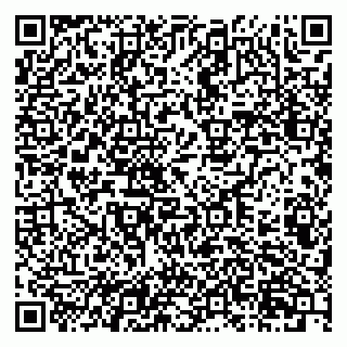 vCard 79201105033