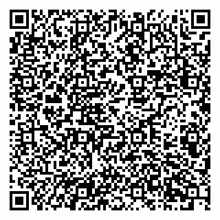 vCard 79201105084