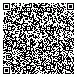vCard 79201105172
