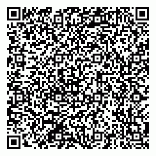 vCard 79201105173