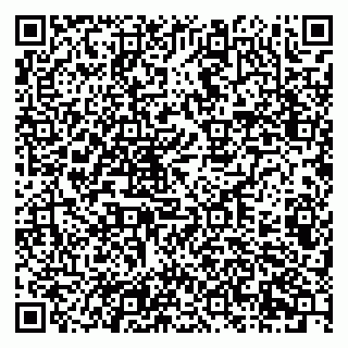 vCard 79201105174