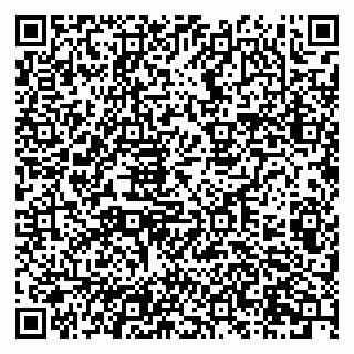 vCard 79201105217