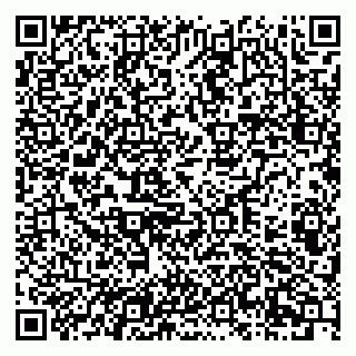 vCard 79201105245