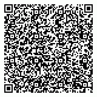 vCard 79201105273