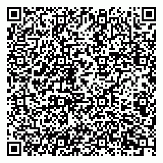 vCard 79201105290