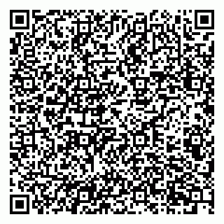 vCard 79201105311