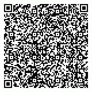 vCard 79201105313