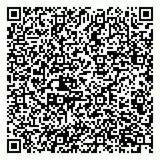 vCard 79201105333