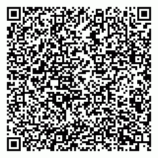 vCard 79201105335