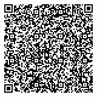 vCard 79201105381