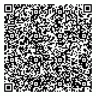 vCard 79201105387