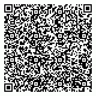 vCard 79201105403