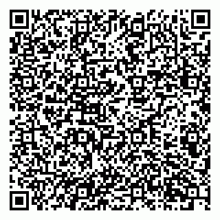 vCard 79201105407
