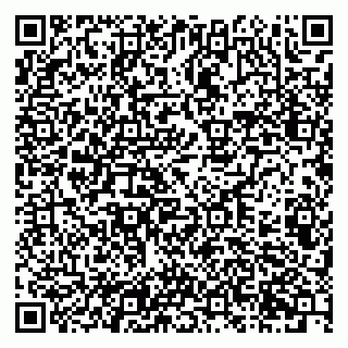 vCard 79201105939