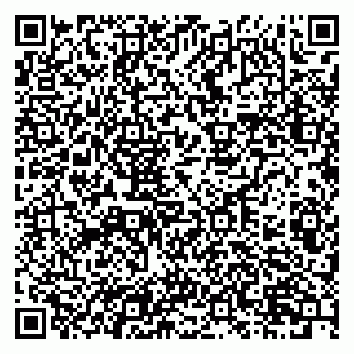 vCard 79201106013