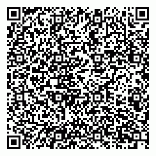 vCard 79201106131