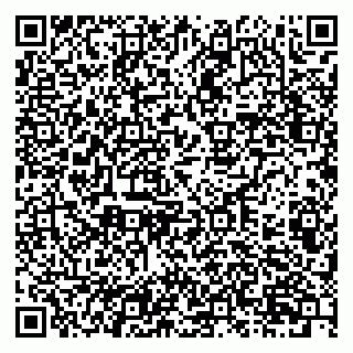 vCard 79201106173