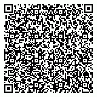 vCard 79201106181