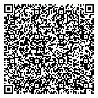 vCard 79201106271