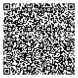 vCard 79201107231