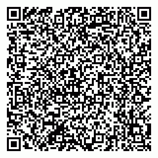 vCard 79201107233