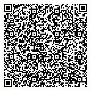 vCard 79201107239