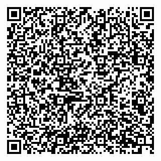vCard 79201107241