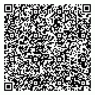 vCard 79201107250
