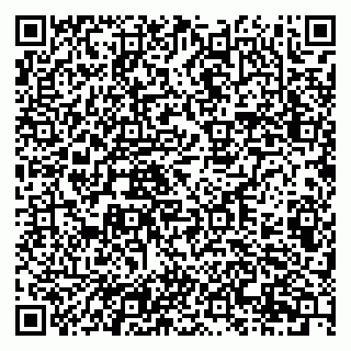 vCard 79201107251