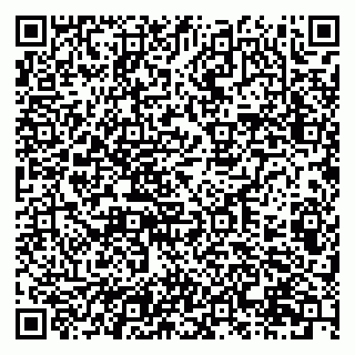 vCard 79201107252