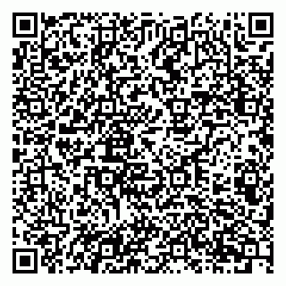 vCard 79201107261